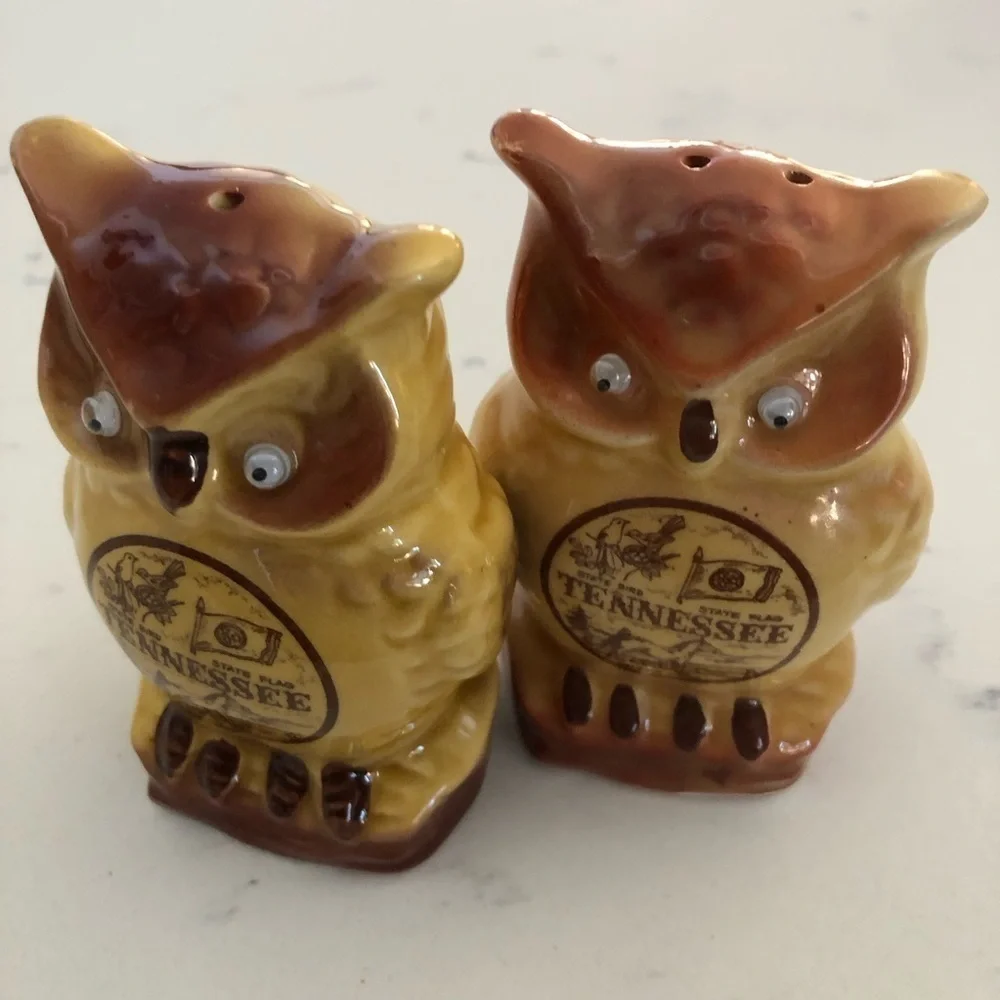 Googley Eye Owl Salt & Pepper Shakers~Tennessee VTG - Picture 5 of 6